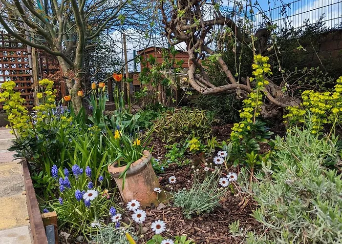 Number 18 ويتبي