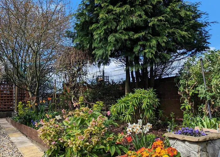 Number 18 3* ويتبي