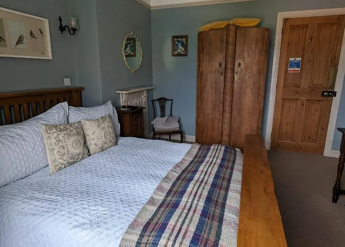 Number 18 ويتبي