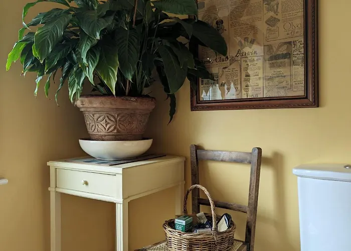 Number 18 3* ويتبي