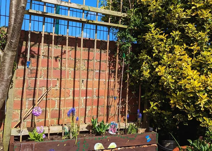 Bed & Breakfast Number 18